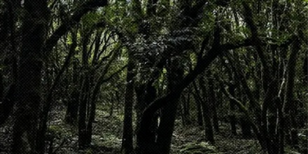 哀牢山进去必死？一座山为啥这么可怕？