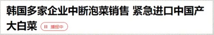 韩国为啥要紧急进口中国大白菜？