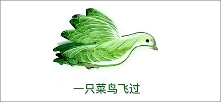 「菜」是怎么发展出「弱」的意思的？