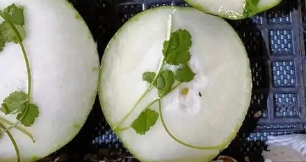 超市卖的切片冬瓜上，为什么总是放一根香菜？