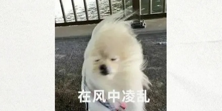 如果抱着机关枪跳楼，持续向下开枪能避免摔死吗？