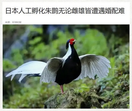 为啥人类不能近亲繁殖，动物却没有这种限制？