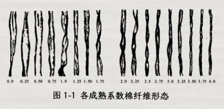 为什么湿毛巾抽人比干毛巾疼 10 倍？