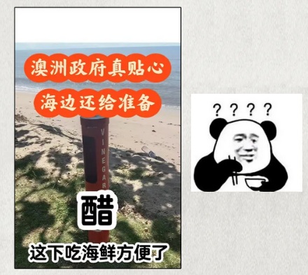 为什么澳大利亚的海滩上要放一瓶蓝色的醋？