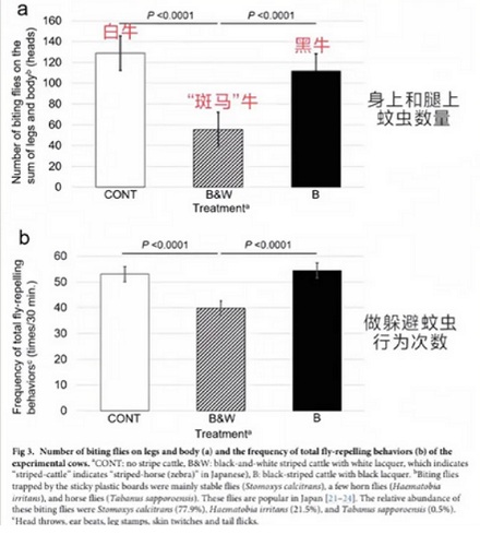 让奶牛 cos 斑马居然能增加产奶量？