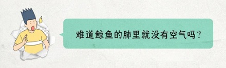 为啥肉做的鲸能轻松下潜 2000 米，钢铁之躯的潜艇却不行？