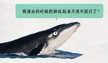 为啥肉做的鲸能轻松下潜 2000 米，钢铁之躯的潜艇却不行？