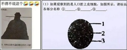 为啥考试试卷上的图片都印得那么糊？