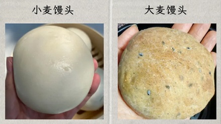 为什么欧洲人爱种大麦，中国人爱种小麦？