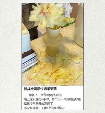 已经开花的芍药为什么必须放进冰箱里？