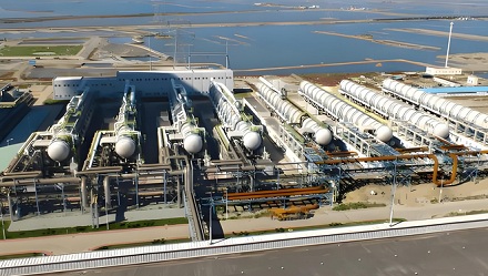 沙特土豪炫富新标准：「你家有几棵树？」