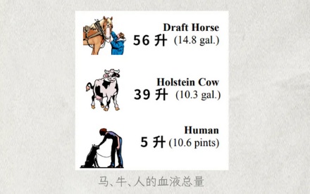 抗蛇毒的血清，为什么只能从马身上抽取？