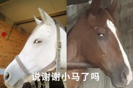 抗蛇毒的血清，为什么只能从马身上抽取？