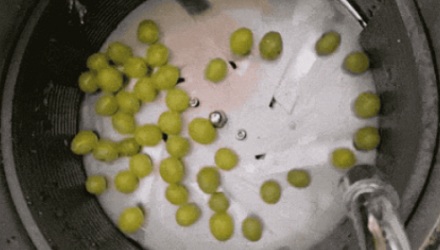 水晶葡萄到底是怎么大批量剥皮的？