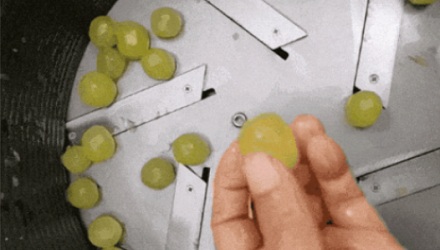 水晶葡萄到底是怎么大批量剥皮的？