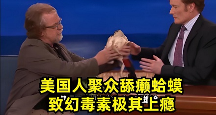 为什么舔一口蛤蟆，心情会突然变好？