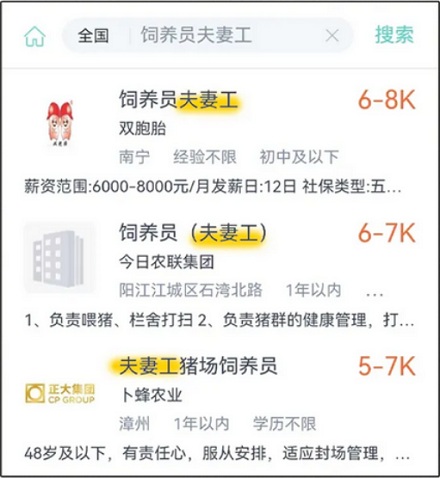 为什么养猪场和养鸡场都爱招夫妻饲养员？