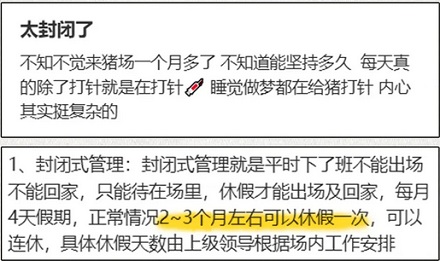 为什么养猪场和养鸡场都爱招夫妻饲养员？