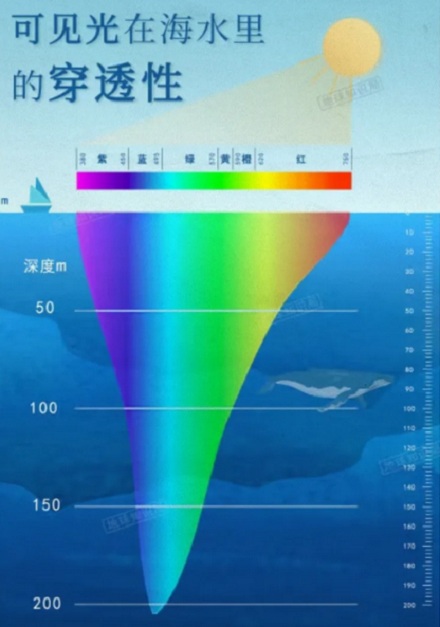 为什么淡水鱼都灰头土脸，海鱼就五颜六色？
