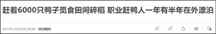 扛着竹帐篷、带着一群鸭子上山下河的到底是什么人？