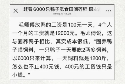 扛着竹帐篷、带着一群鸭子上山下河的到底是什么人？