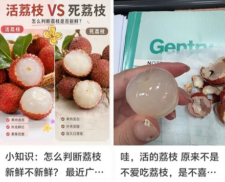 果肉乳白色的真的就是「死荔枝」吗？