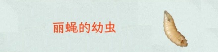 寄生虫会被寄生虫寄生吗？