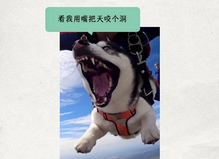 为什么飞机上只配救生衣，不配降落伞？