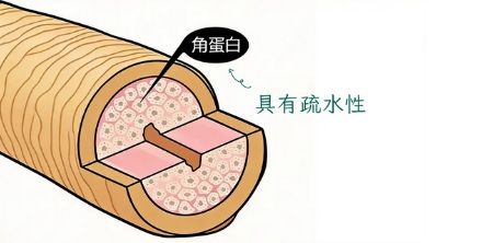 石油泄漏了，政府为什么要急着收集头发呀？