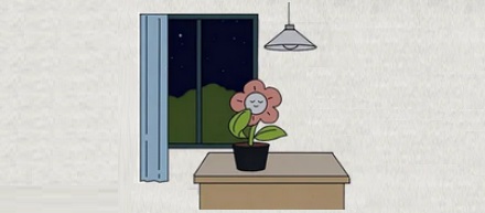 如果让植物一直光合作用，会不会累死？
