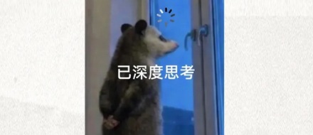 为什么海蛞蝓是 AI 的「导师」？