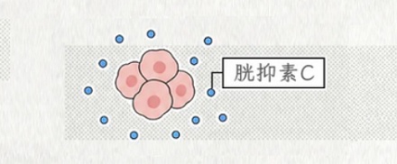 为什么得癌症的人不容易得阿尔兹海默症？