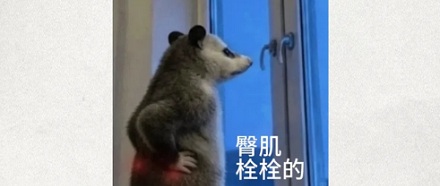 为什么南京朝天宫的坡道，靠「屁股」成为了景点？