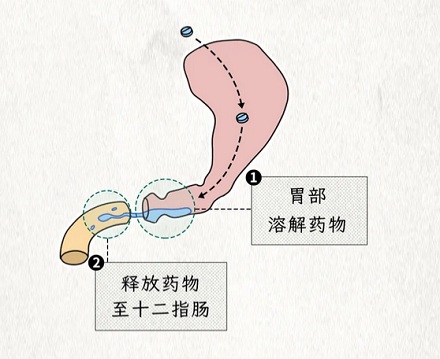 为什么吃完布洛芬朝右侧躺下，药效来得更快？
