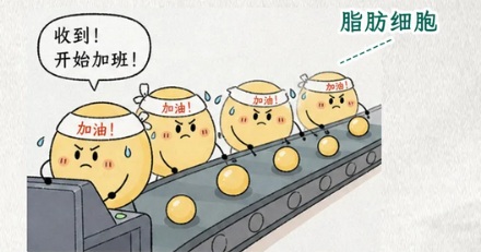 为什么盐吃多了也会发胖？