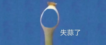 为什么摸两下温的不锈钢盆，就能让手上的大蒜味消失？