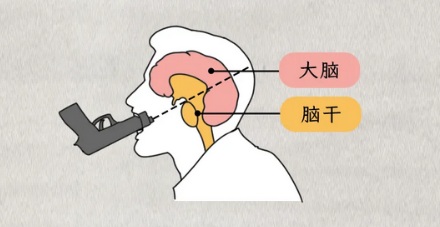 为啥影视中东方拿枪自杀大多抵在太阳穴，而西方是吞枪？