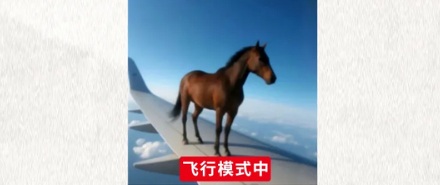 为啥在飞机上吃海鲜，海鲜会变得更鲜？