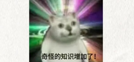 为什么很多世界名画上，都要画一只苍蝇？