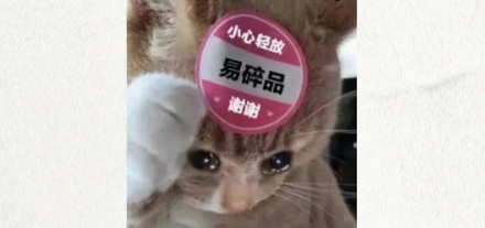为什么很多美国老房子的墙里都会有一大堆剃须刀片？