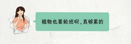为什么有些牛油果树上午是雌性，下午就能变成雄性？