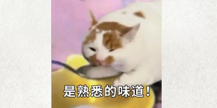 为什么带蒜味的母乳，婴儿反而喝得更起劲了？