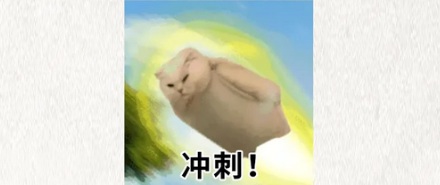 为什么跳水运动员的视力都不太好？