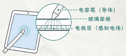 为什么用香蕉也能滑动平板电脑的屏幕？
