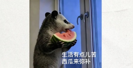 为什么西瓜的芯最甜，桃子、李子的芯却最酸？