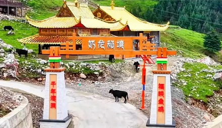 为什么西藏甘孜的这座山叫「奶龙山」？