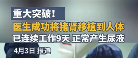 为什么给人类移植器官的动物，优先选猪而不选猴子？