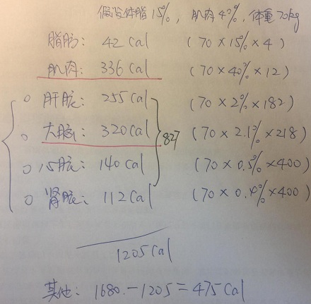 大脑和肌肉是人体能耗最多的两大组织