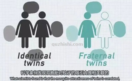 容易招蚊子和基因有关?